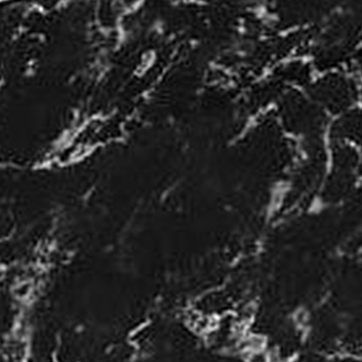 Satin d'Or dekbedovertrek satijn Marble zwart