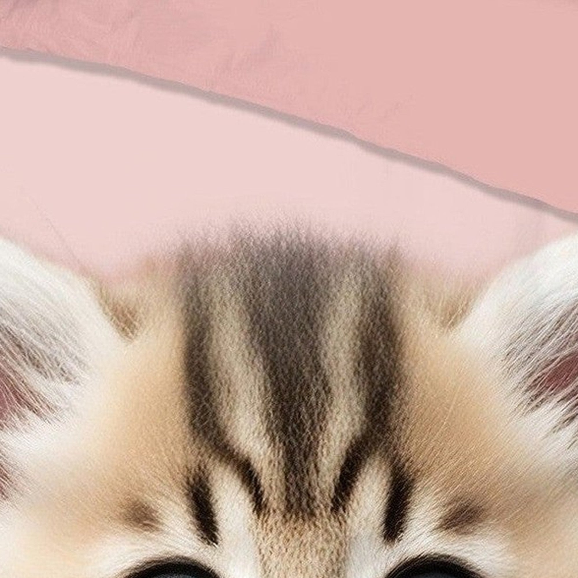 Good Morning Dekbedovertrek Flanel Meow Roze